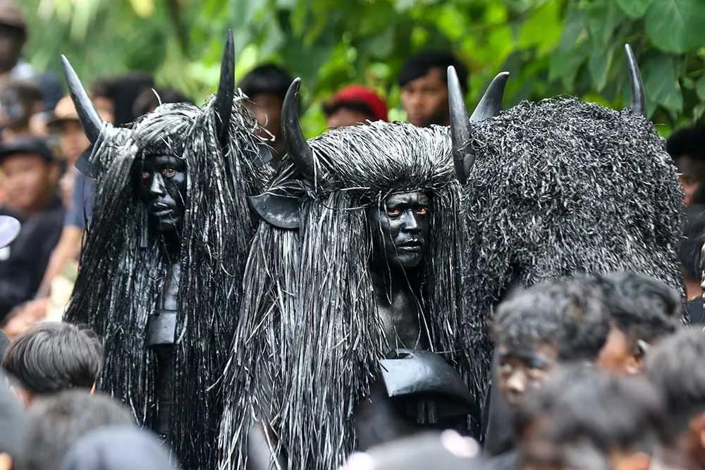tradisi kebo keboan alasmalang, kebo keboan banyuwangi,: Hubungan Kebo Keboan dengan Topik Budaya Banyuwangi Lainnya