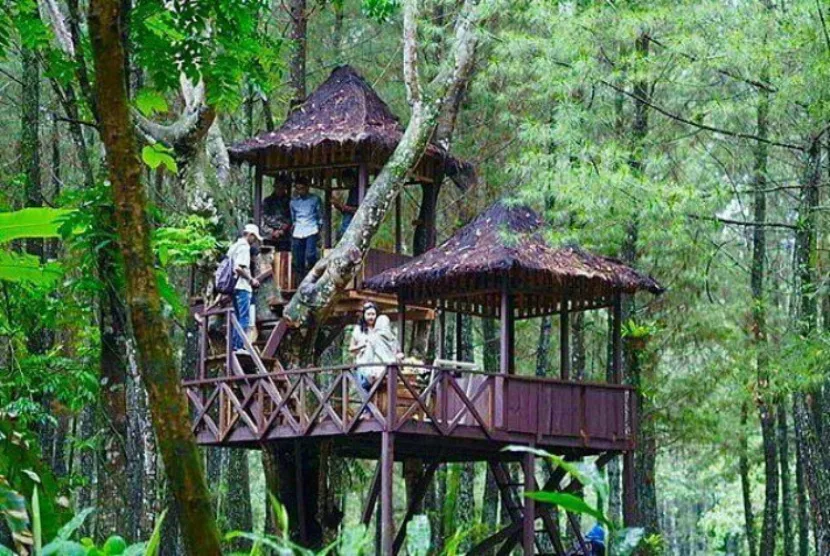 wisata pinus camp songgon, pinus camp songgon, camping: Tabel Ringkasan Fasilitas dan Kegiatan Utama