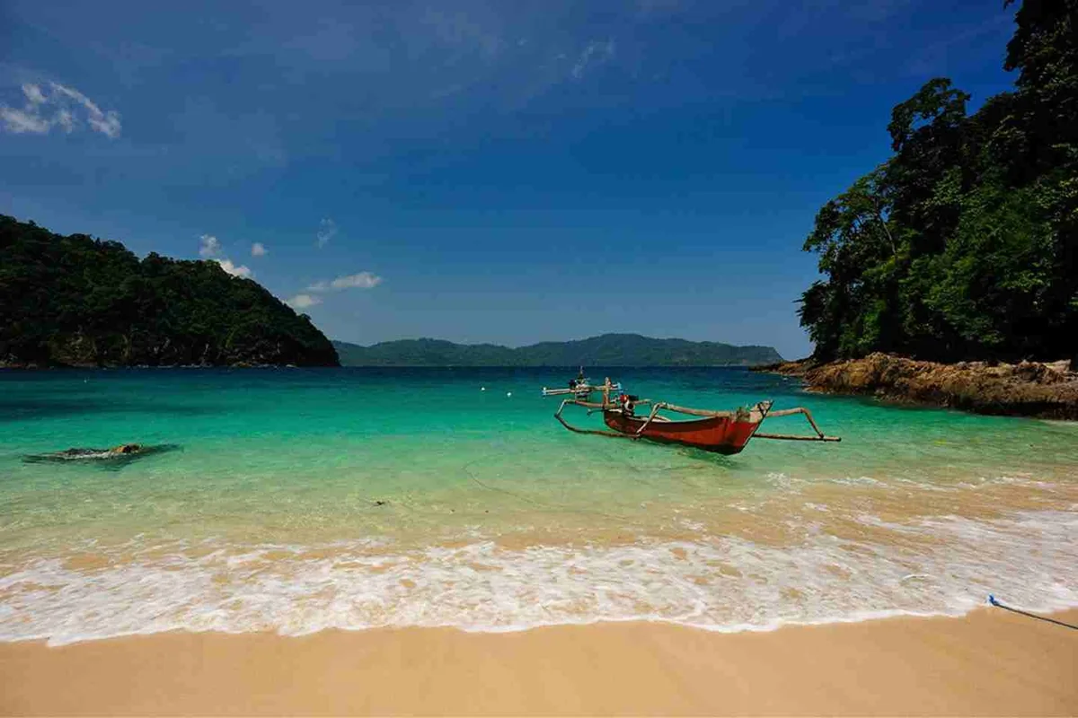 pantai sukamade banyuwangi, pantai sukamade, penyu: Peran Konservasi dan Tantangan yang Dihadapi Penyu Sukamade