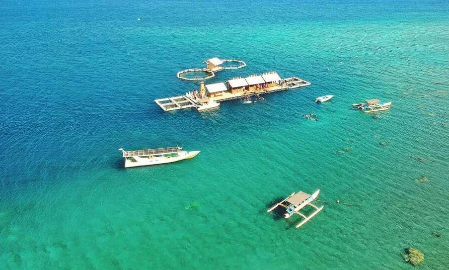 bangsring underwater banyuwangi, bangsring underwater,: FAQ: Pertanyaan Umum Seputar Bangsring Underwater Banyuwangi