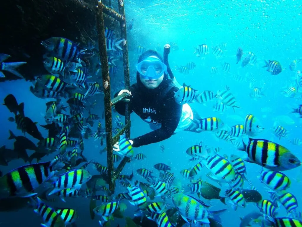 bangsring underwater banyuwangi, bangsring underwater,