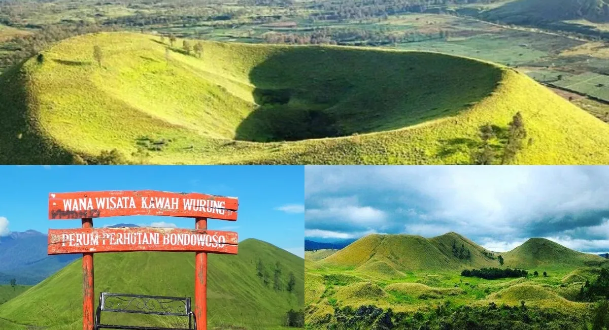 kawah wurung banyuwangi, kawah wurung, wisata kawah wurung,: Sekilas tentang Kawah Wurung Banyuwangi dan Julukan Bukit