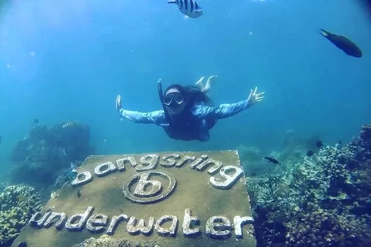 bangsring underwater banyuwangi, bangsring underwater,