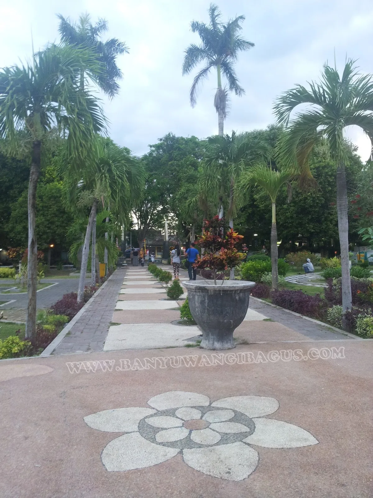 taman sritanjung banyuwangi, taman sritanjung, taman kota: Alternatif Sore Santai di Sekitar Taman Sritanjung