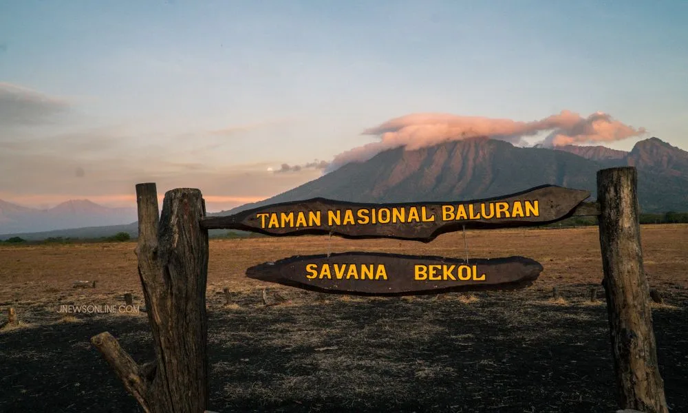 taman nasional baluran banyuwangi, baluran banyuwangi,: Rute Masuk dan Tiket Masuk Baluran: Persiapan sebelum