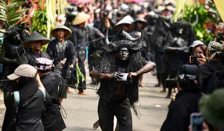 tradisi kebo keboan alasmalang, kebo keboan banyuwangi,