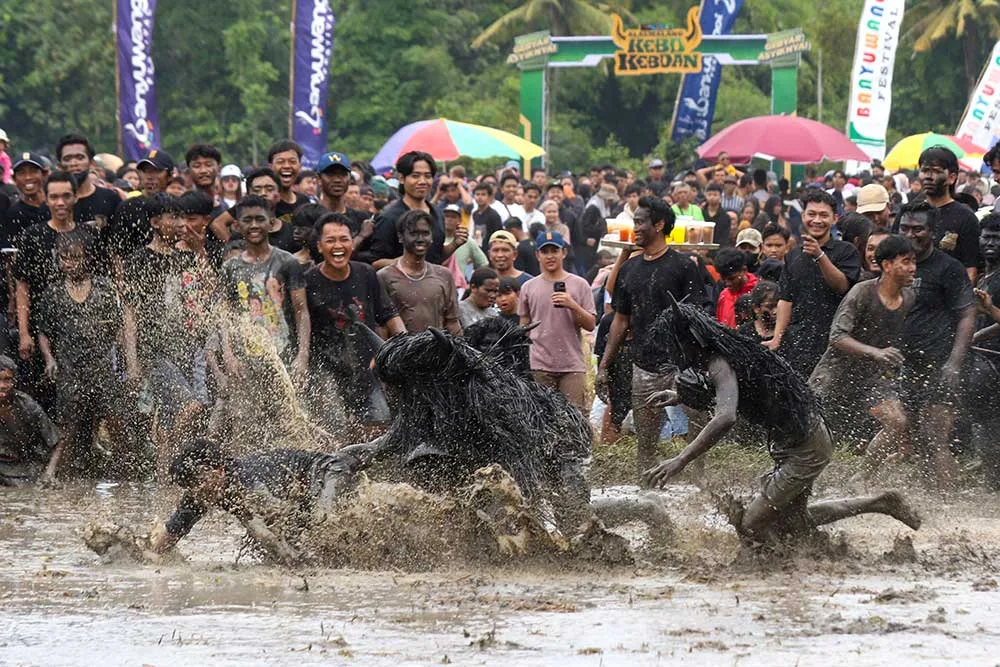 tradisi kebo keboan alasmalang, kebo keboan banyuwangi, - Data dan Fakta Seputar Pesta Panen Banyuwangi