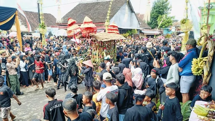 tradisi kebo keboan alasmalang, kebo keboan banyuwangi,: Rekomendasi Praktis dan Langkah Terbaik