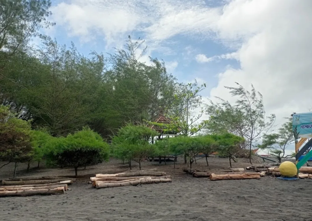 pantai cemara banyuwangi, pantai cemara, hutan cemara: Perbandingan Suasana: Pagi, Siang, dan Sore