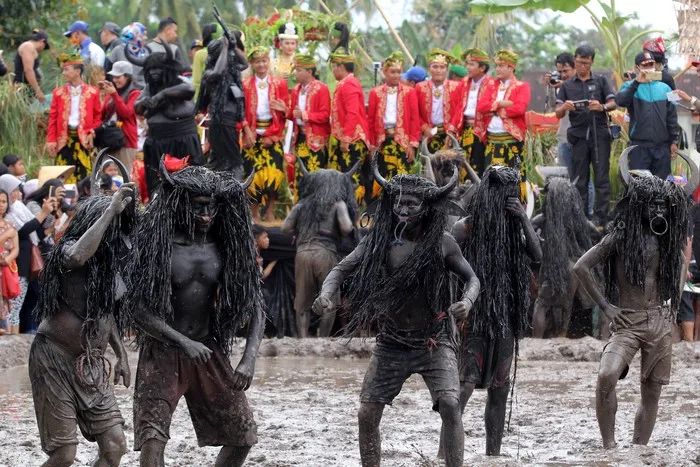 tradisi kebo keboan alasmalang, kebo keboan banyuwangi,: Makna Filosofis di Balik Kebo Keboan Banyuwangi