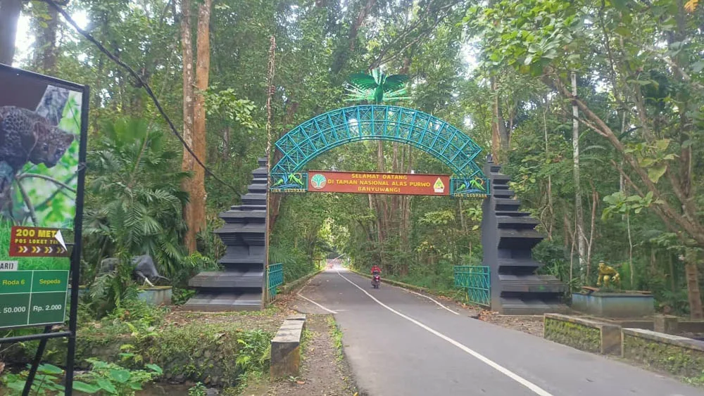 taman nasional alas purwo, alas purwo banyuwangi, wisata: Bagaimana Alas Purwo Terhubung dengan Destinasi Lain di