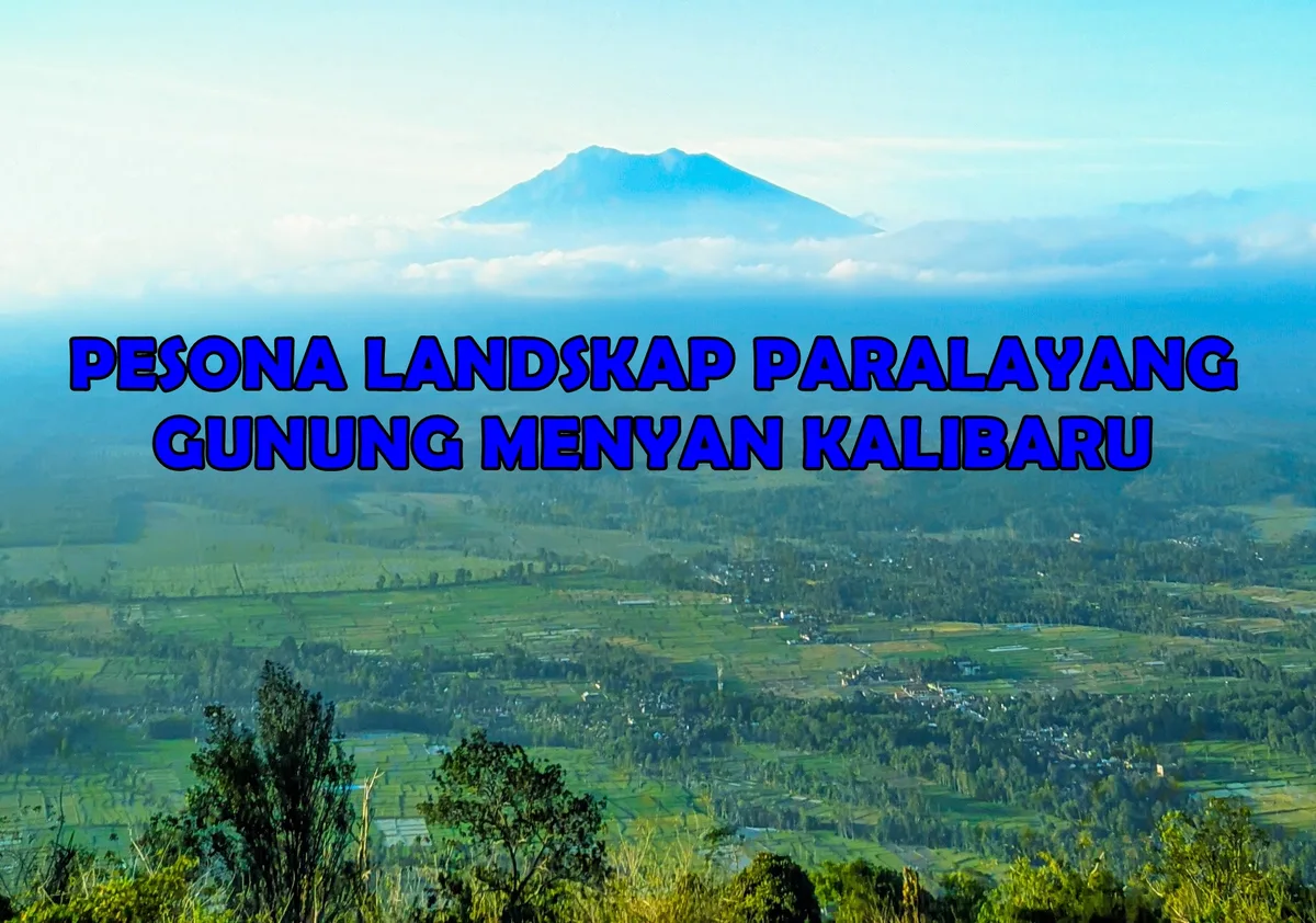 kecamatan kalibaru banyuwangi, kecamatan kalibaru, kalibaru: Jejak Sejarah Perkebunan Kopi di Dataran Tinggi Kalibaru