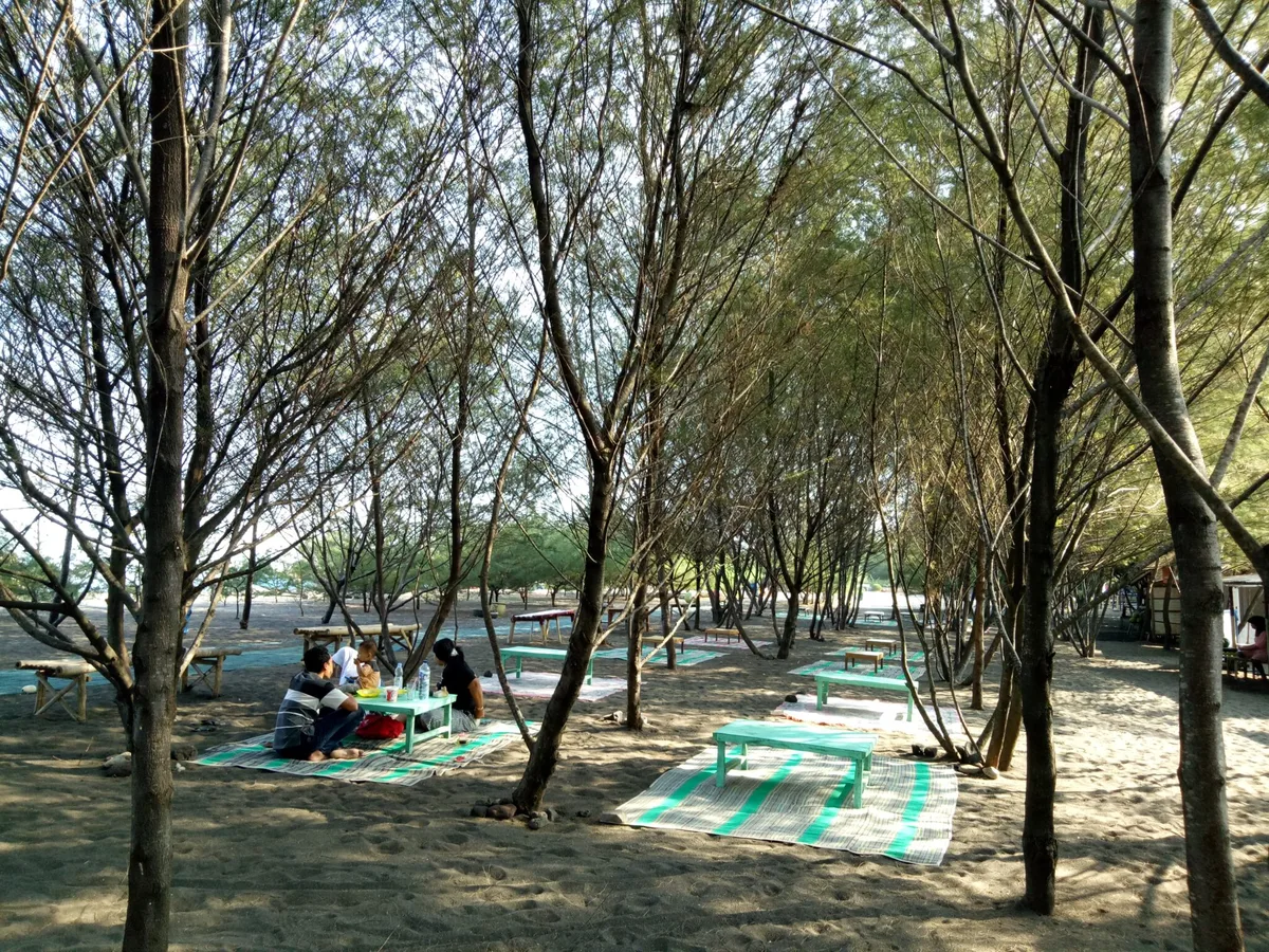 pantai cemara banyuwangi, pantai cemara, hutan cemara - Merangkai Kunjungan yang Bermakna di Pantai Cemara