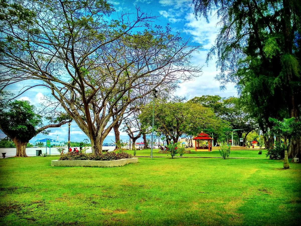 taman sritanjung banyuwangi, taman sritanjung, taman kota