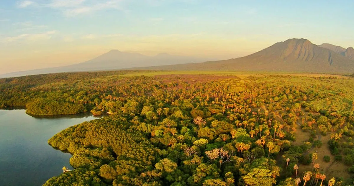 taman nasional alas purwo, alas purwo banyuwangi, wisata - Menelusuri Tujuh Pesona Alam Taman Nasional Alas Purwo yang