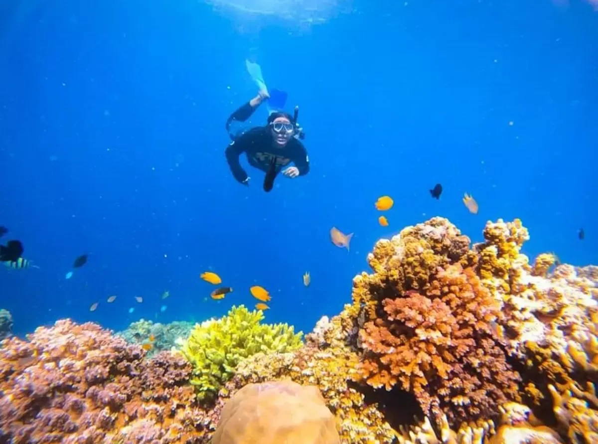 bangsring underwater banyuwangi, bangsring underwater, - Konservasi Terumbu Karang: Jantung dari Wisata Bangsring