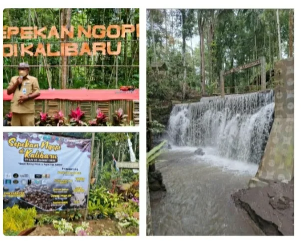 kecamatan kalibaru banyuwangi, kecamatan kalibaru, kalibaru