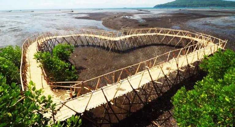 pantai cemara banyuwangi, pantai cemara, hutan cemara - Menggabungkan Kunjungan dengan Destinasi Lain di Banyuwangi