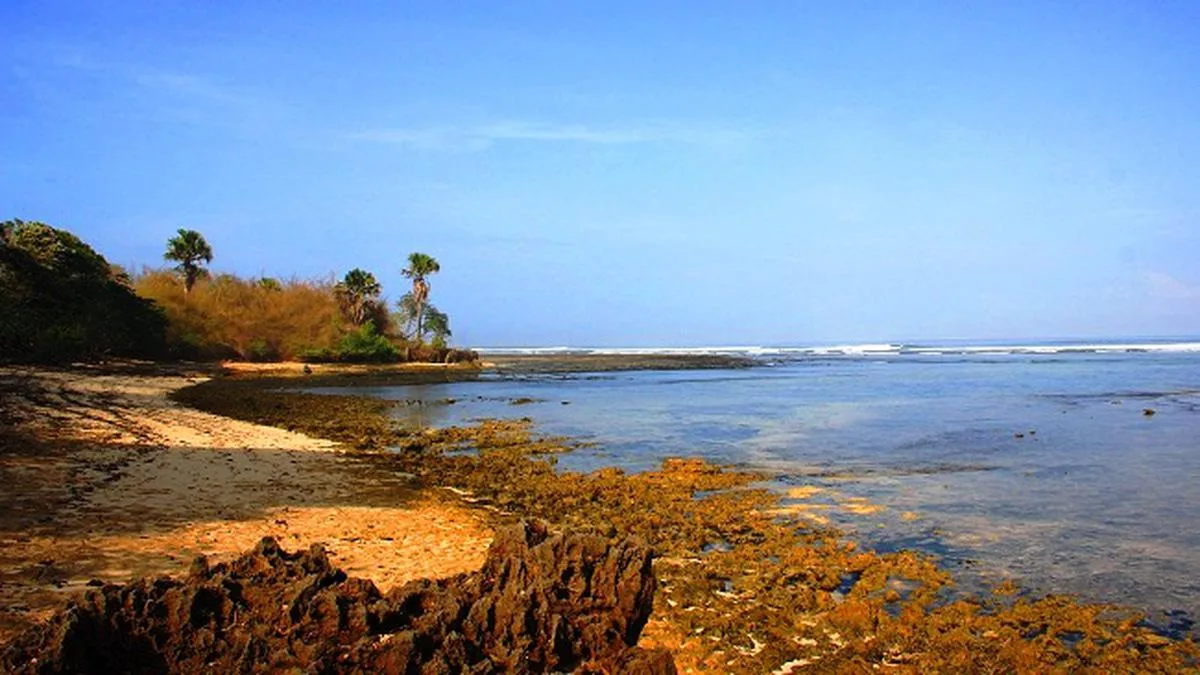pantai plengkung g land, pantai plengkung banyuwangi, g