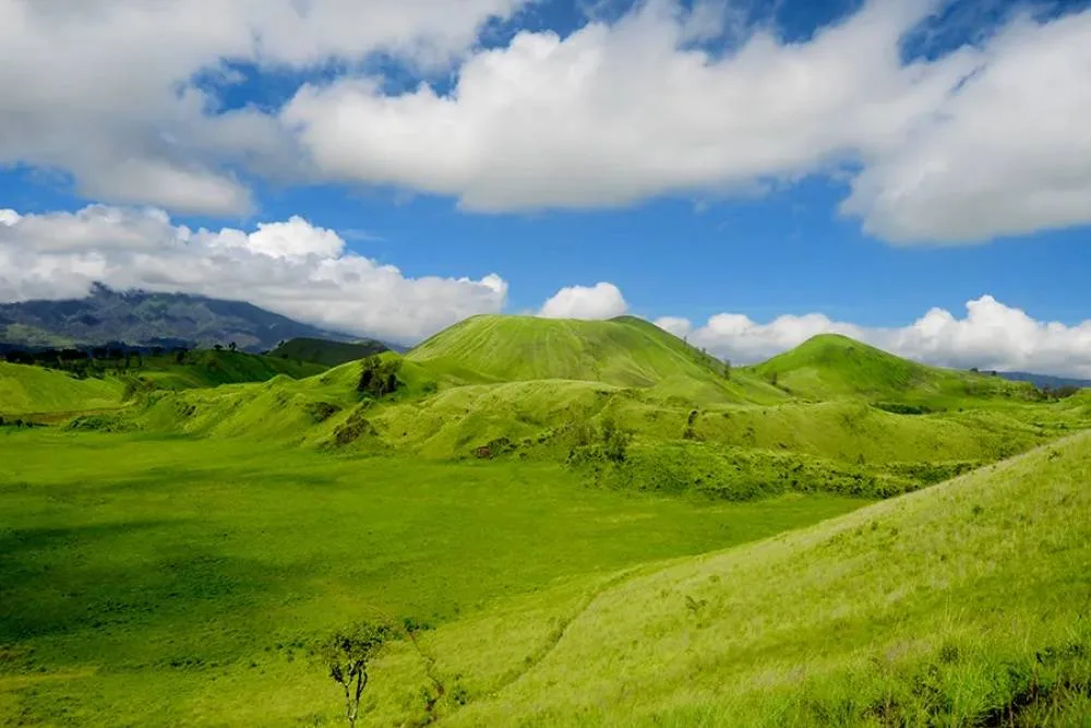 kawah wurung banyuwangi, kawah wurung, wisata kawah wurung, - Menginap di Sekitar Lokasi dan Akomodasi yang Tersedia