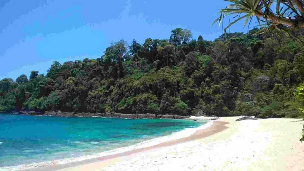 teluk hijau banyuwangi, green island banyuwangi, teluk ijo: Nilai Tambah: Konservasi dan Partisipasi Warga