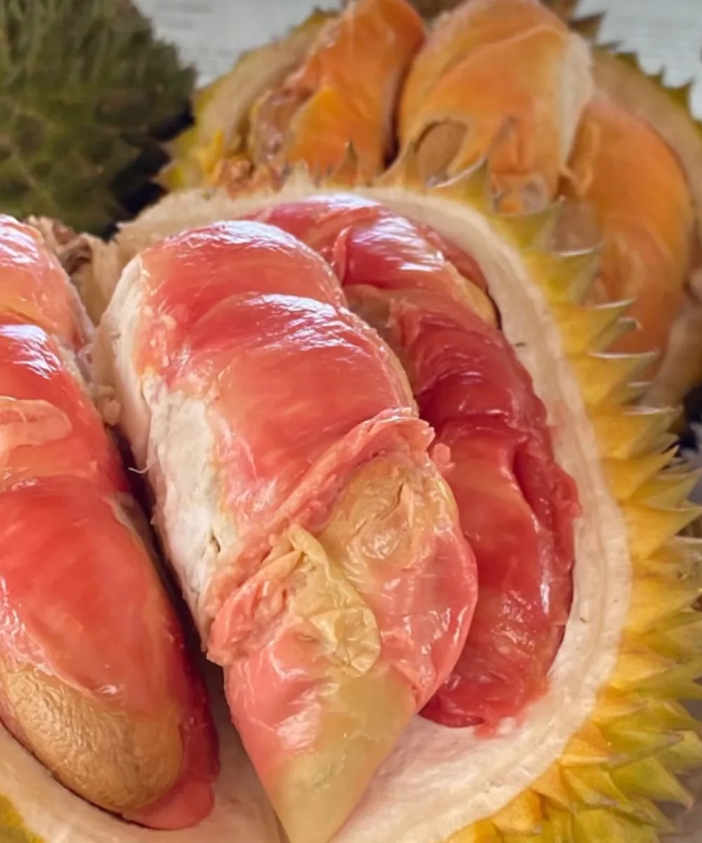 durian merah banyuwangi, durian merah, buah durian merah, - Bagaimana Cara Menyimpan dan Mengolah Buah Durian Merah?