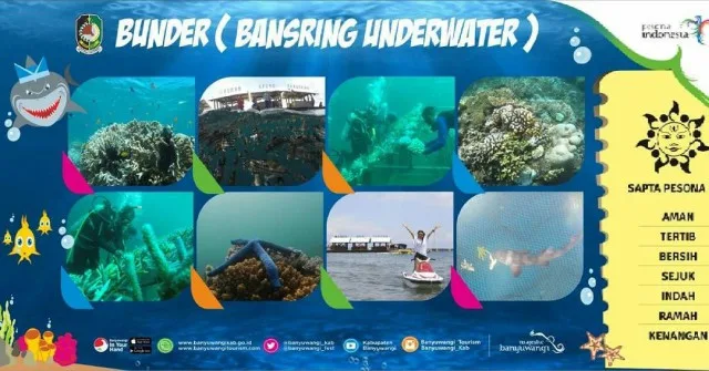 bangsring underwater banyuwangi, bangsring underwater,