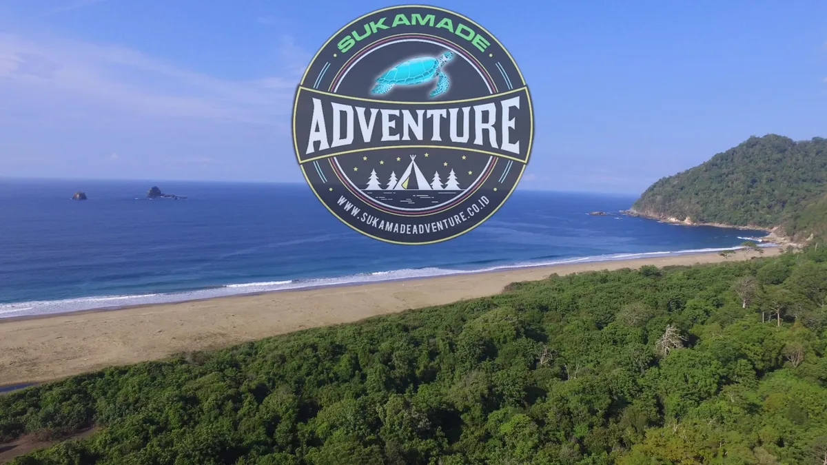 pantai sukamade banyuwangi, pantai sukamade, penyu - Aktivitas Wisata Konservasi Penyu Sukamade dari Malam