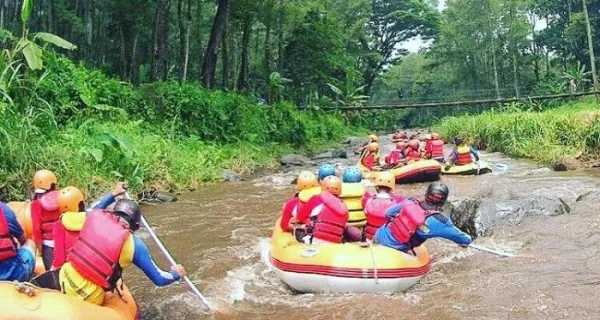 songgon rafting banyuwangi, rafting songgon, arung jeram: Sisi Aman Uji Nyali: Standar Keselamatan yang Wajib