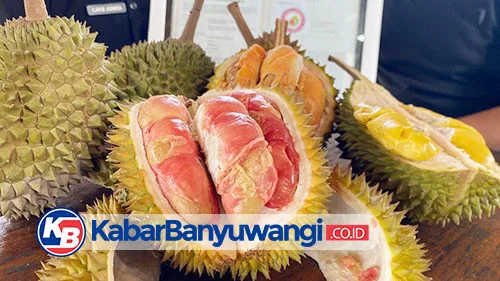 durian merah banyuwangi, durian merah, buah durian merah, - Kandungan Gizi dan Perbandingan dengan Buah Lain