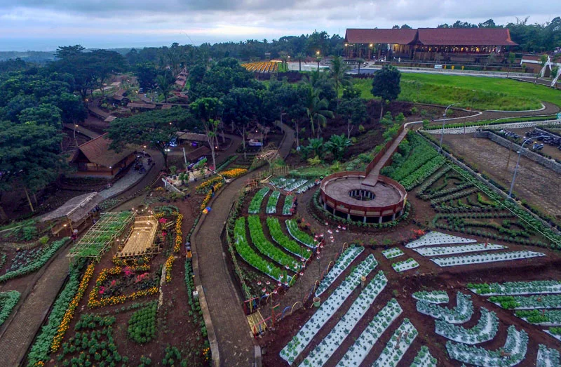 agrowisata tamansuruh banyuwangi, agrowisata tamansuruh,: Mengenal Lebih Dekat Agrowisata Tamansuruh Banyuwangi