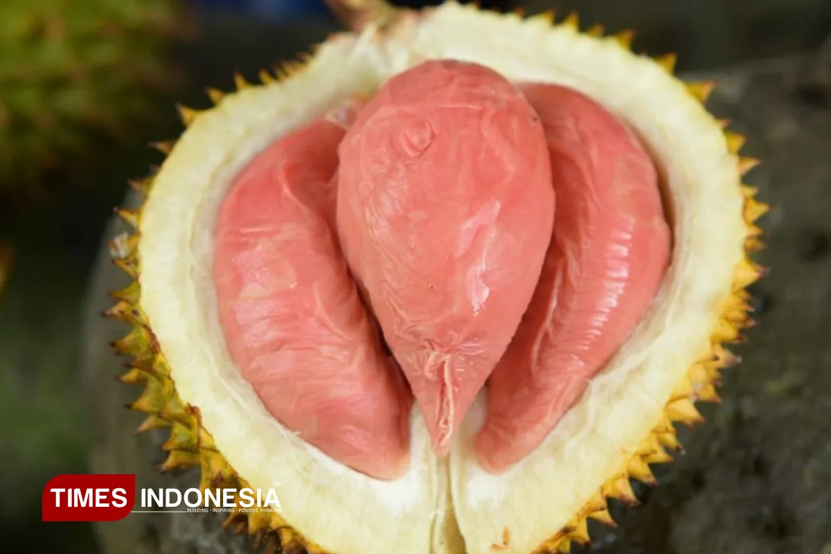 durian merah banyuwangi, durian merah, buah durian merah,: Apakah Durian Merah Banyuwangi Cocok untuk Semua Orang?