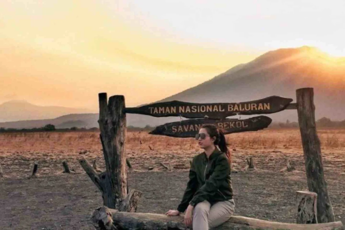 taman nasional baluran banyuwangi, baluran banyuwangi, - Mengenal Taman Nasional Baluran Banyuwangi sebagai Kawasan