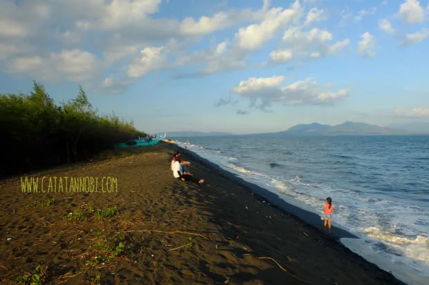pantai cemara banyuwangi, pantai cemara, hutan cemara: Hutan Cemara Banyuwangi: Kanopi Alami di Tepi Samudra