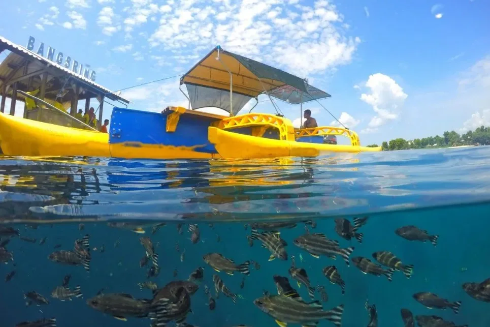 bangsring underwater banyuwangi, bangsring underwater,: Serunya Snorkeling di Bangsring Underwater Banyuwangi