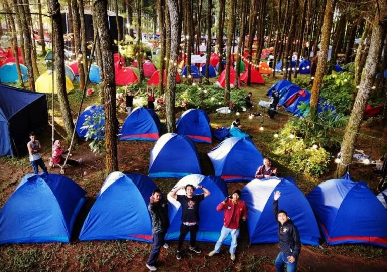 wisata pinus camp songgon, pinus camp songgon, camping: Panduan Persiapan sebelum Berangkat ke Songgon