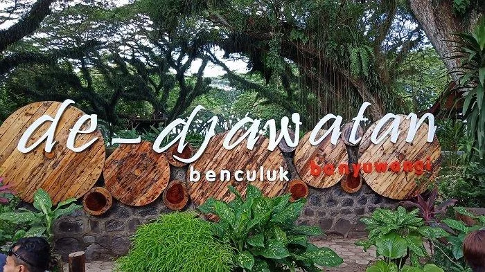 de djawatan benculuk, de djawatan banyuwangi, hutan: Rute Menuju De Djawatan Banyuwangi