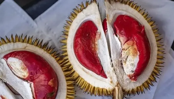 durian merah banyuwangi, durian merah, buah durian merah,