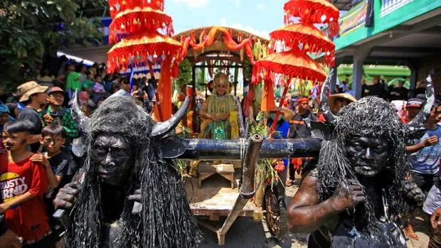 tradisi kebo keboan alasmalang, kebo keboan banyuwangi, - Bagaimana Persiapan Acara Dilakukan? Panduan Nyata dari