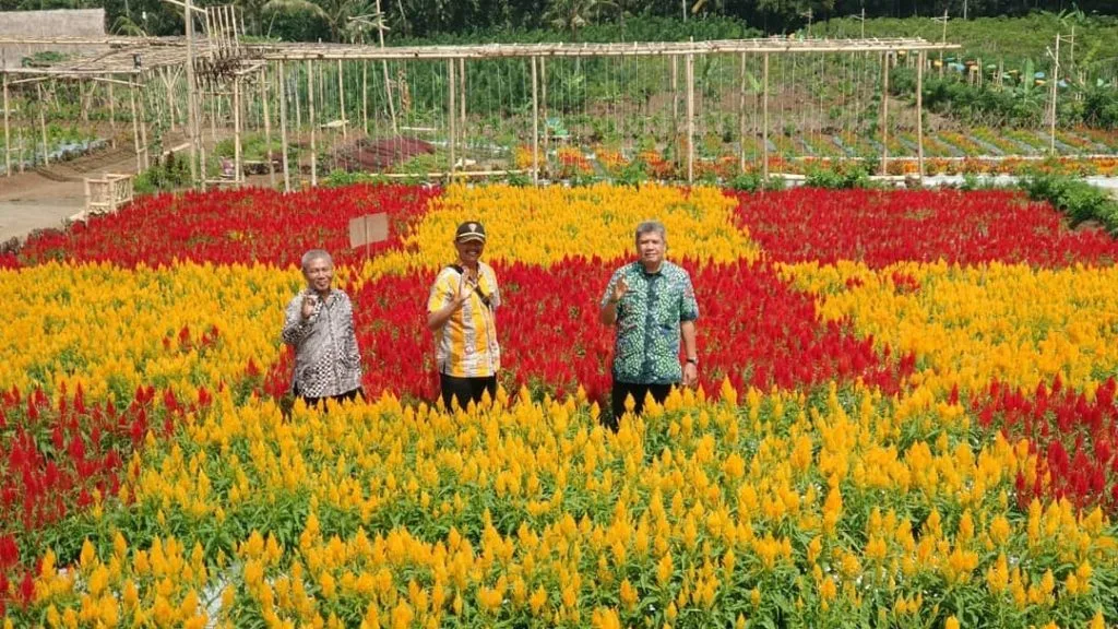 agrowisata tamansuruh banyuwangi, agrowisata tamansuruh,