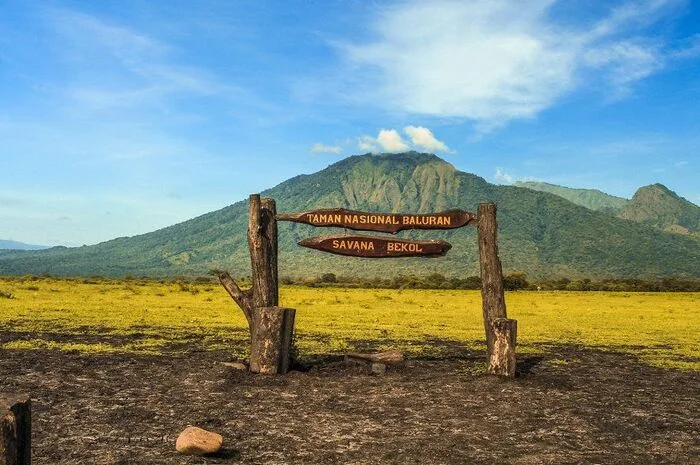 taman nasional baluran banyuwangi, baluran banyuwangi,