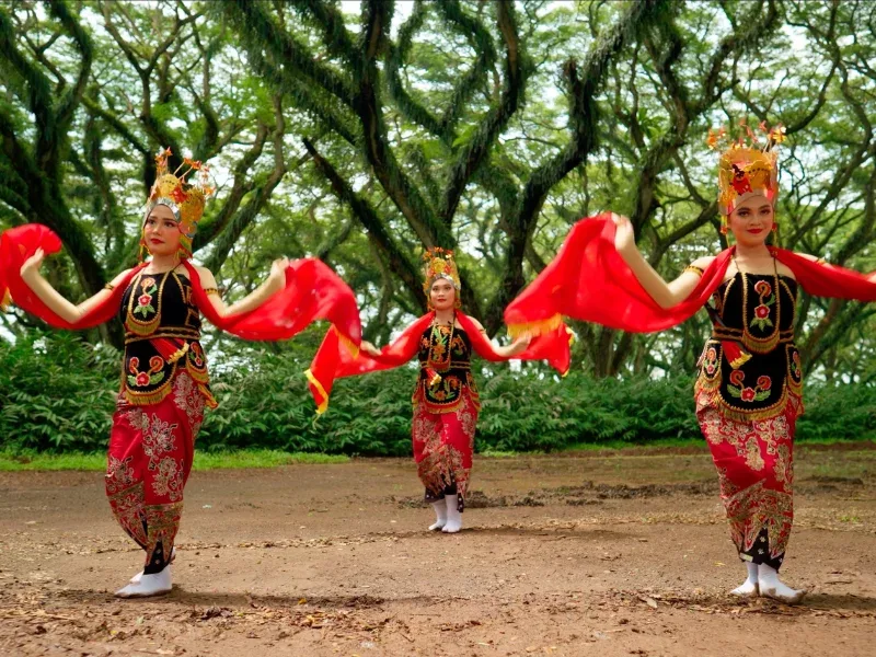 tari gandrung banyuwangi, tari gandrung, gandrung: Pertanyaan Umum Seputar Tari Gandrung Banyuwangi